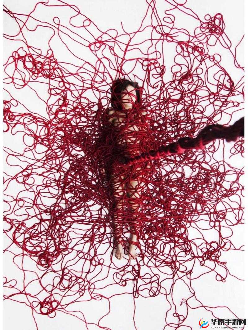 人文艺术 344447 ：探寻艺术的无尽魅力