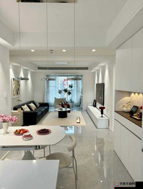 从厨房一路干到客厅好吗彻底放开友的别样精彩之旅