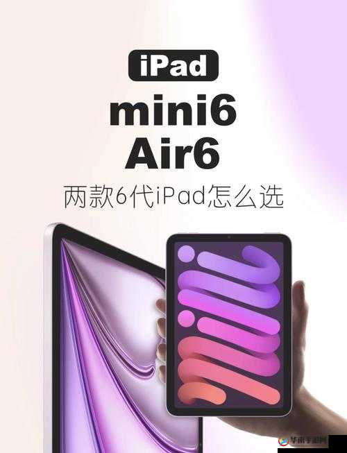 如何确保秘密入口 mini6 的安全保护？