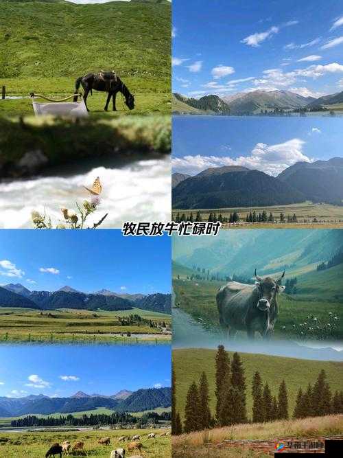 大地资源二在线观看免费高清影视：畅享精彩视觉盛宴的绝佳选择