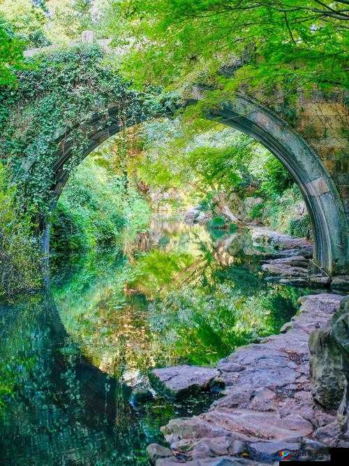 迷失江湖寻澄静：于喧嚣中探寻内心的宁静