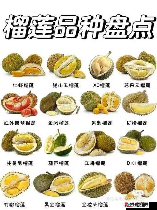 向日葵秋葵草莓榴莲香蕉茄子众多优质内容都享超清覆盖-网友:高清画质,精彩内容等你来发现