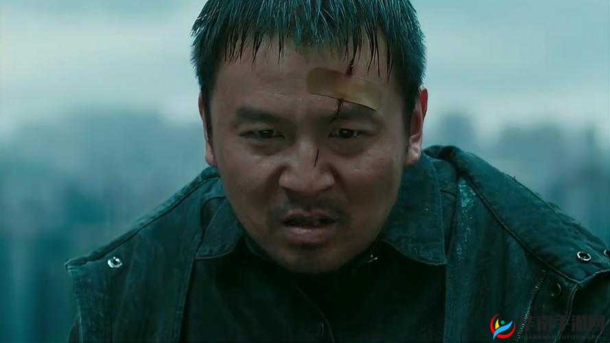 九牛电影天堂惨遭攻击：探究背后的原因与影响