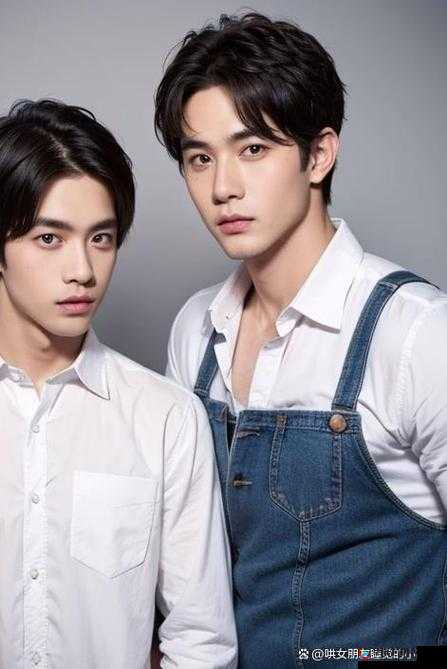 爆炒多汁小美男通感双胞胎：令人惊叹的奇妙组合