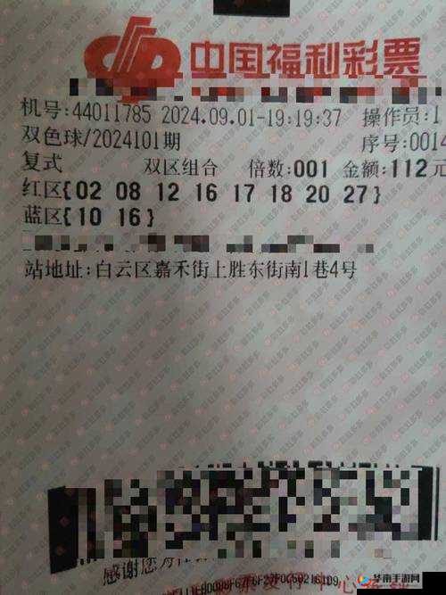 日本一码二码三码区别在哪：深度解析其背后的含义与特点