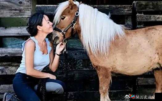 一位女子与一匹马的奇妙旅程：探索未知的世界