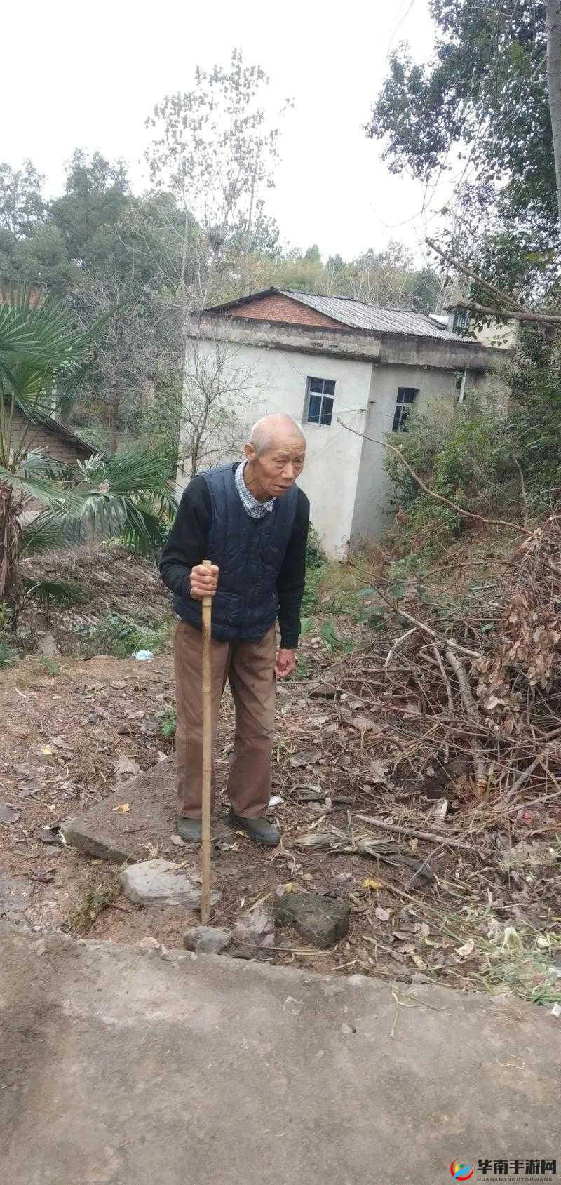 老头那令人瞩目的鸡巴相关内容