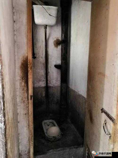 卫生间里的 6 分 34 秒：一段引人深思的故事