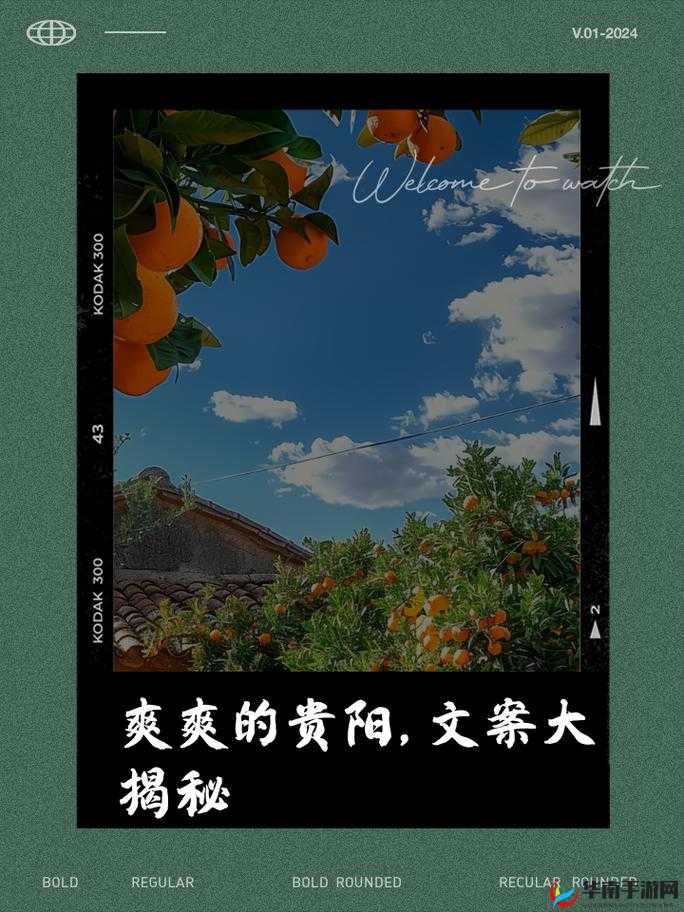 人人爽爽人人爽爽，共享美好生活