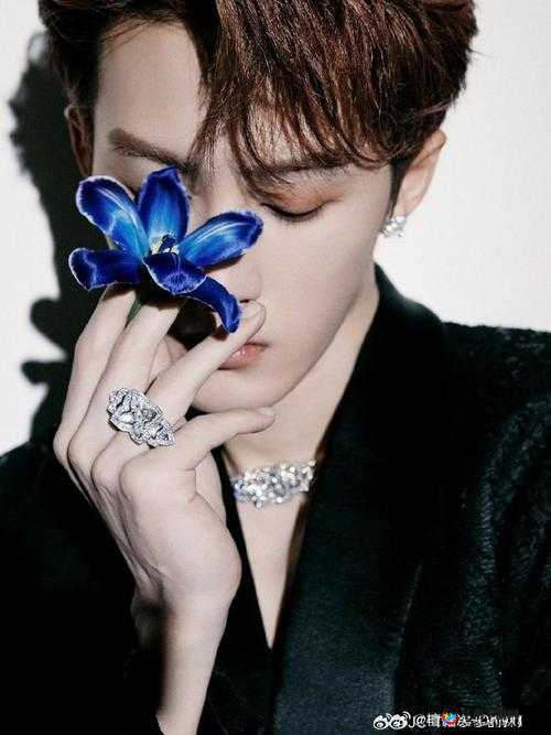 欧美 MV 及日韩 MV 最火的一句：你是我的命中注定，不见不散