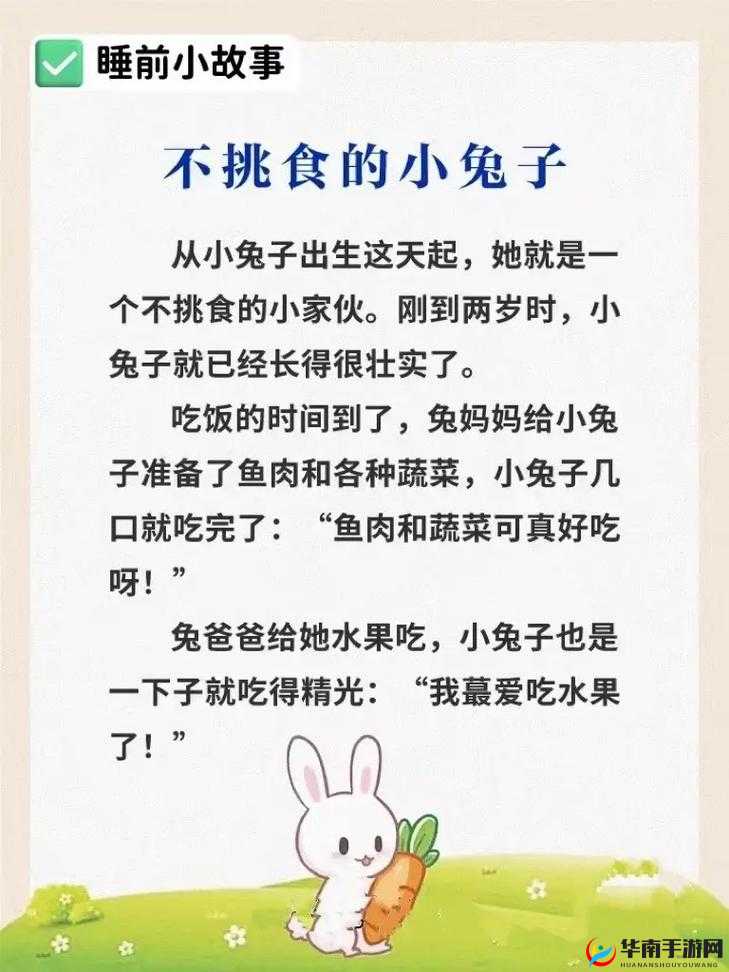 老师的大兔子：那充满趣味与想象的奇妙故事