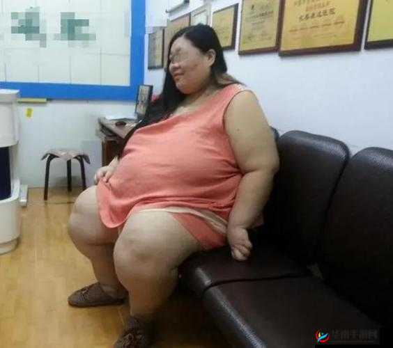 肥婆老 BBB 肥婆 BBBBB：关于这个称呼的一些探讨和思考