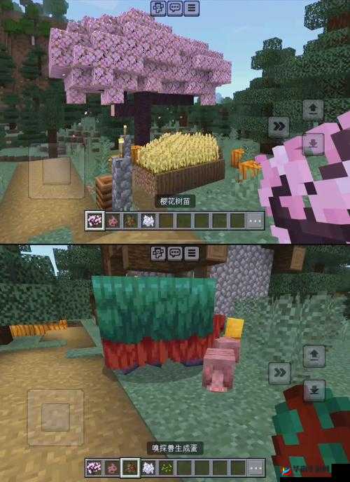 91 好色:探索无尽的成人世界