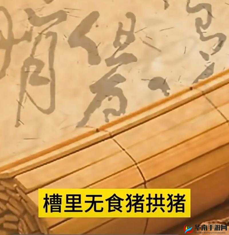 人 OR 猪 OR 狗最终还是被发现了：背后的故事与后续发展