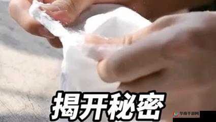 探索 WWWXXXXX 背后的秘密:揭开未知的面纱