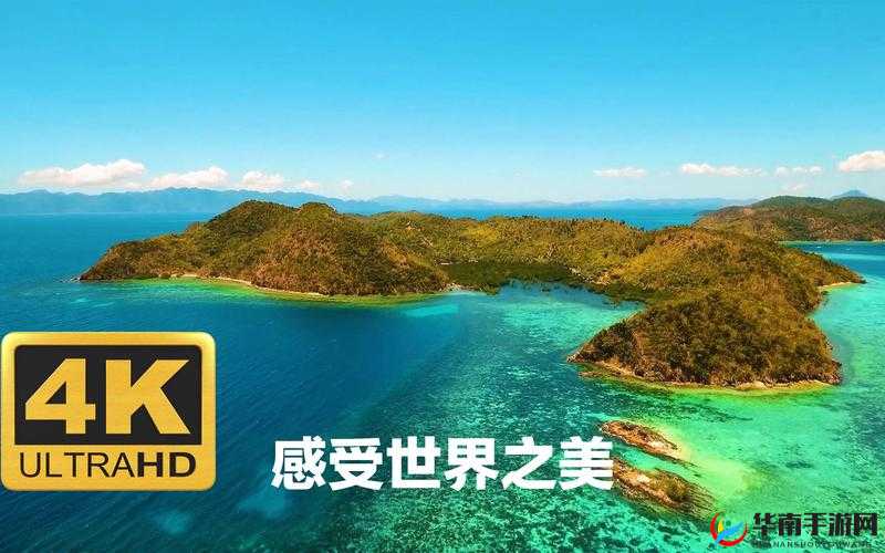 WindowsChannel 视频：展现精彩的科技世界之旅