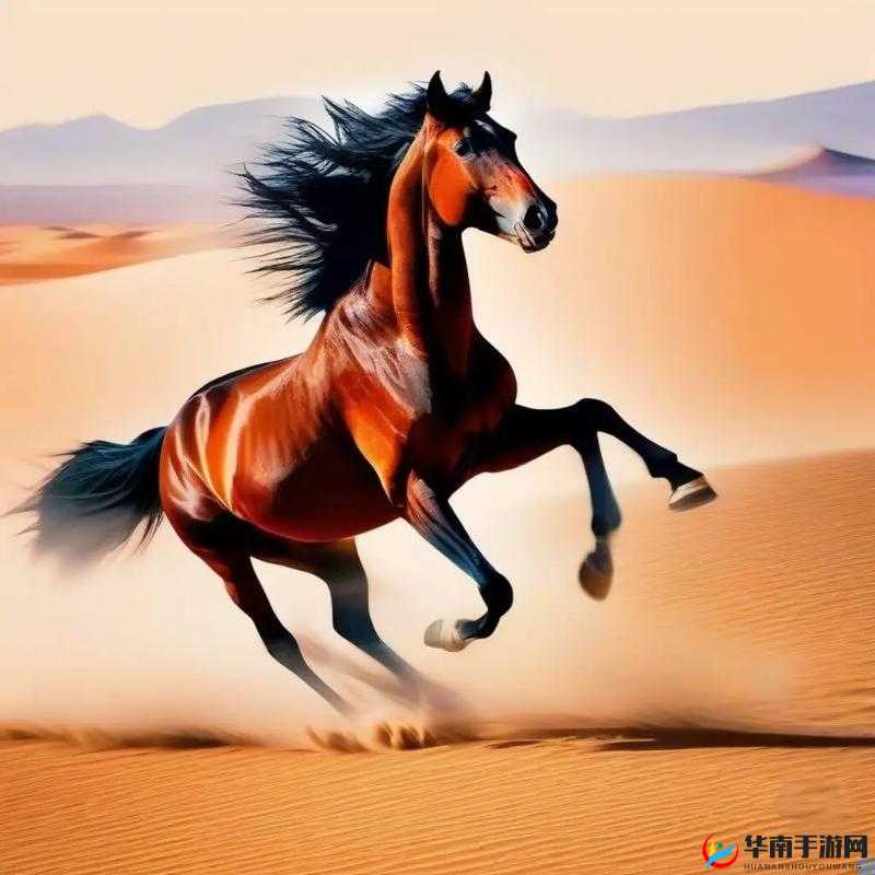 随着马儿的奔跑项弄：开启一段奇幻而美妙的旅程