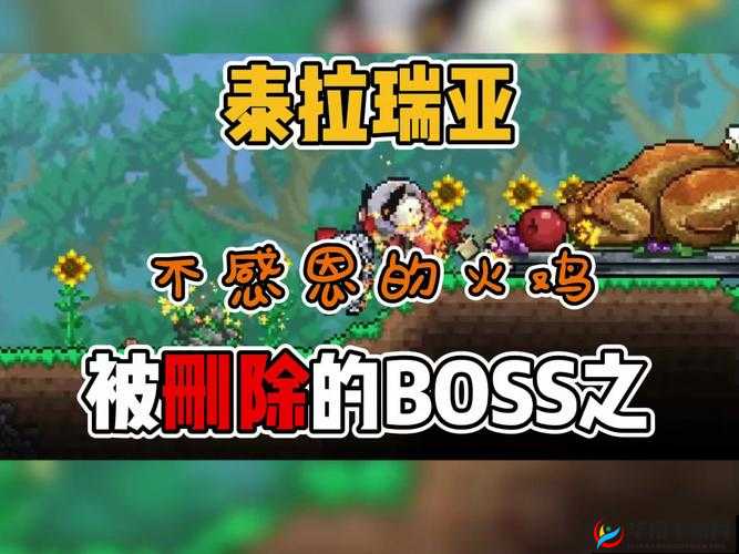 泰拉瑞亚感恩节介绍及火鸡召唤方法详解