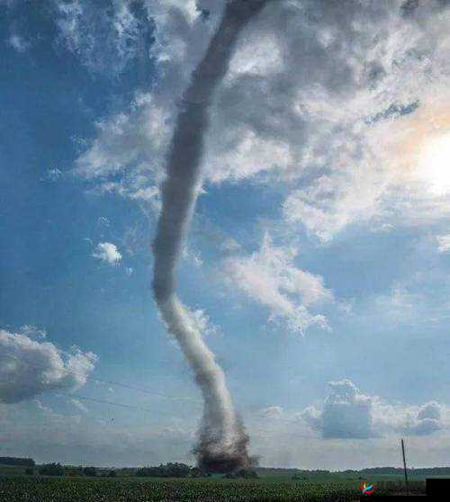 一杆长枪精准植入两扇门震撼场景令人惊叹