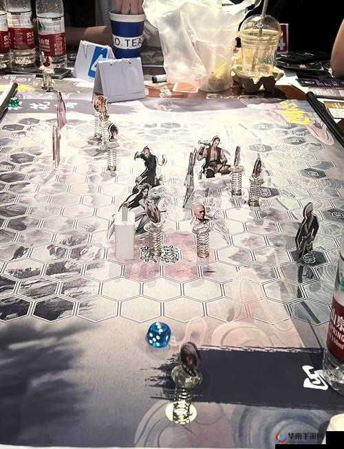 神秘桃花岛 cm7：传说之地的冒险之旅