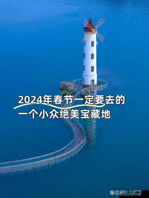 给个网站 2024 年直接进入的秘密：探寻未来的神秘入口