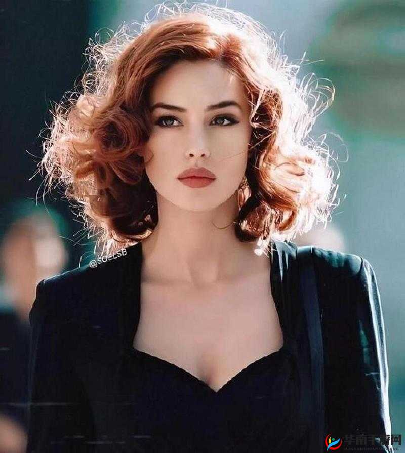 莫妮卡最经典的非常公寓：一段令人难忘的银幕传奇