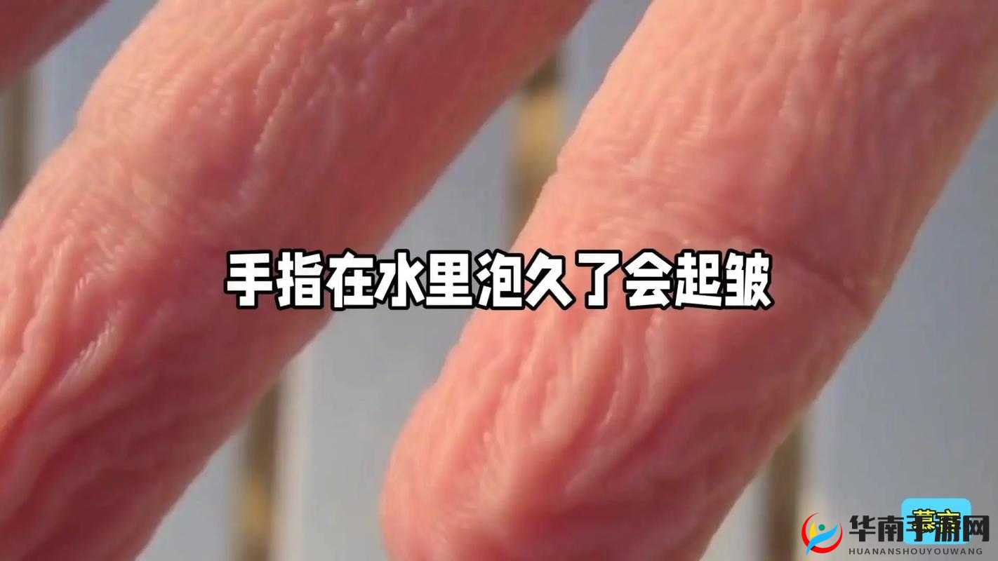 为什么手指划入缝隙挖水：探究背后的神秘原因与动机