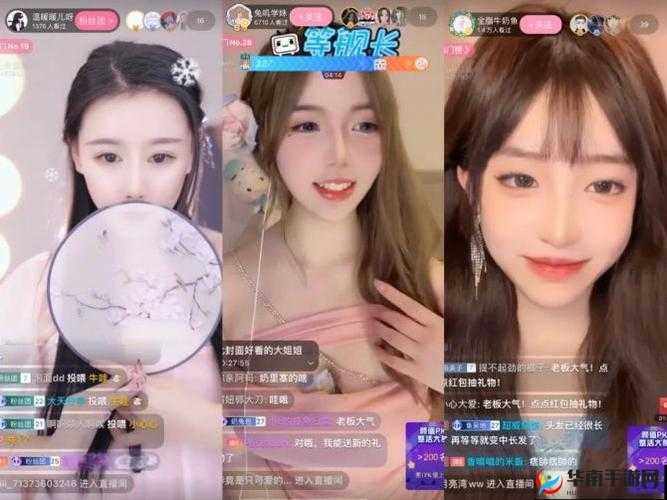 B站私人直播间：专属你的私密交流与精彩分享空间