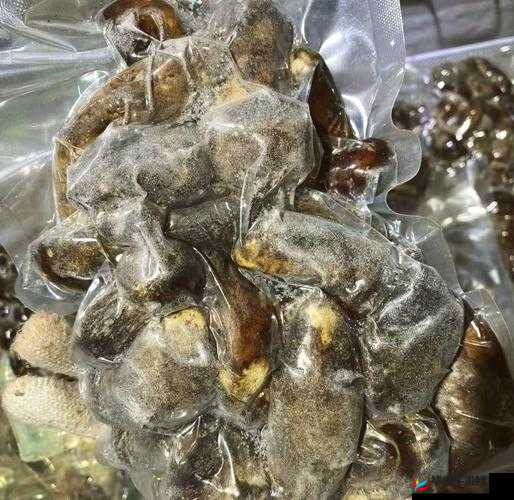 蘑菇黑料大揭秘:深入揭露其不为人知的一面