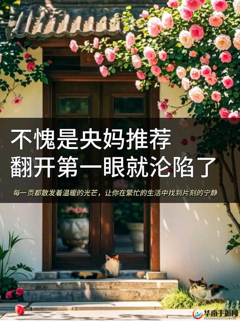 小青楼短视频 APP 带你领略不一样的精彩世界