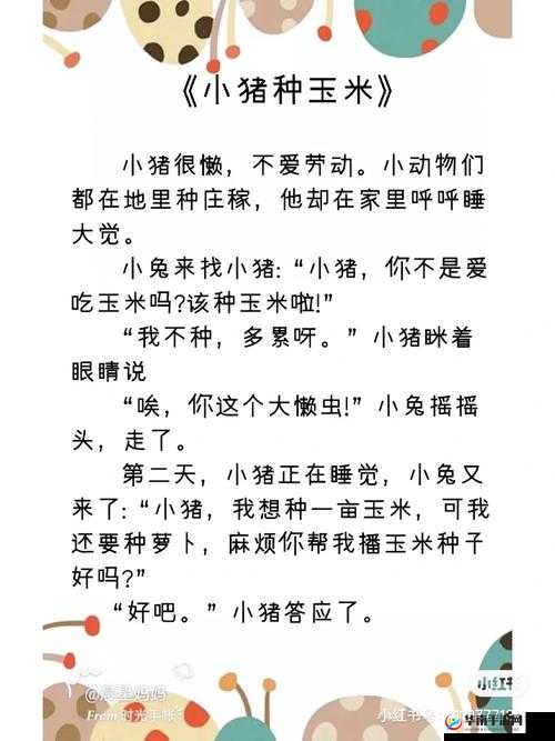 玉米地方那些充满趣味与故事的事儿
