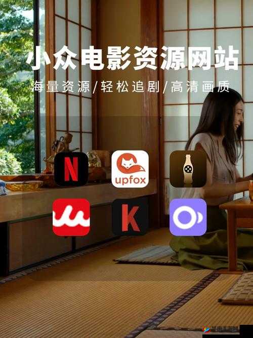 netflix 免费在线观看，无广告，海量资源，尽在其中