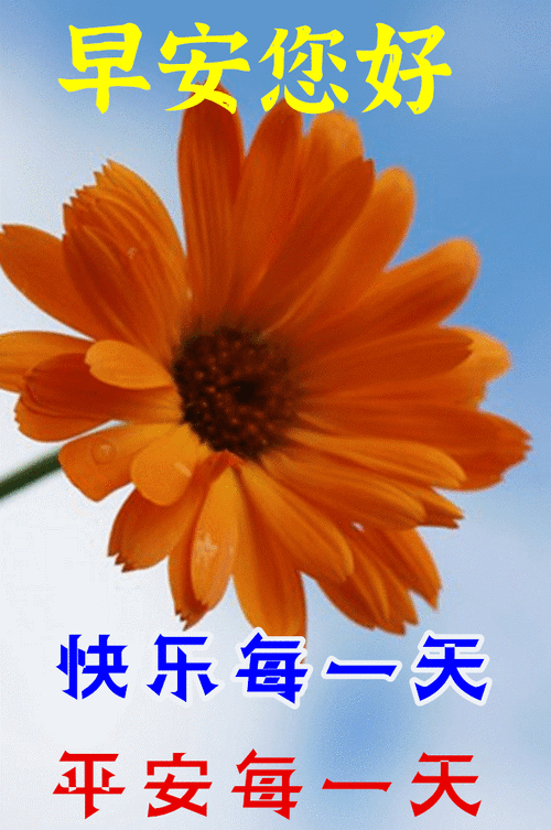 老奶奶 bgmbgm 人快乐的一天从清晨开始