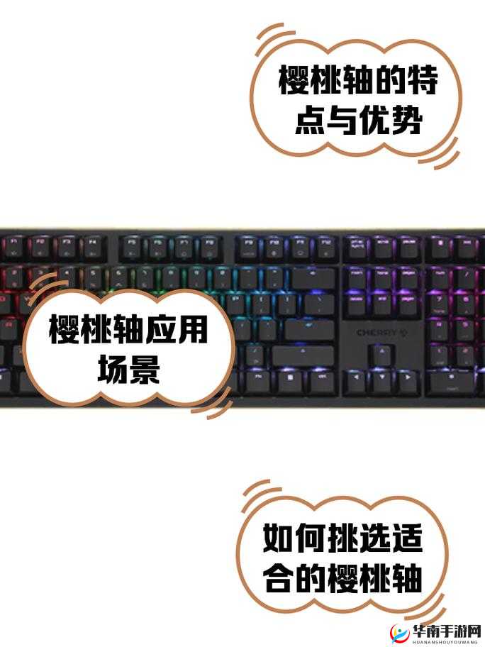 樱桃 MW2310：引领时尚潮流的高性能电脑配件