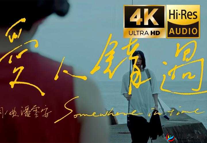 最新 MV 字幕免费观看：畅享海量精彩资源