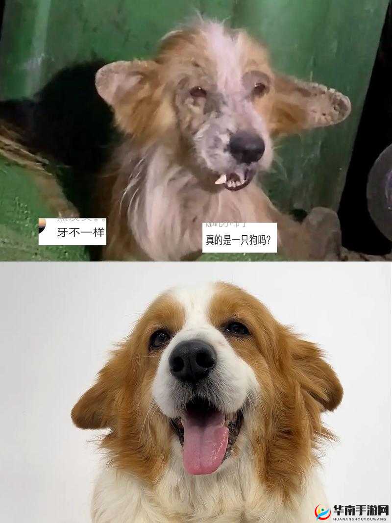 黄台十大巅峰之作，你无法想象的视觉盛宴