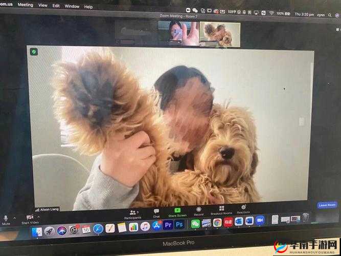 美国 ZOOM 人狗 APP 一欢迎你：令人震惊的奇特存在