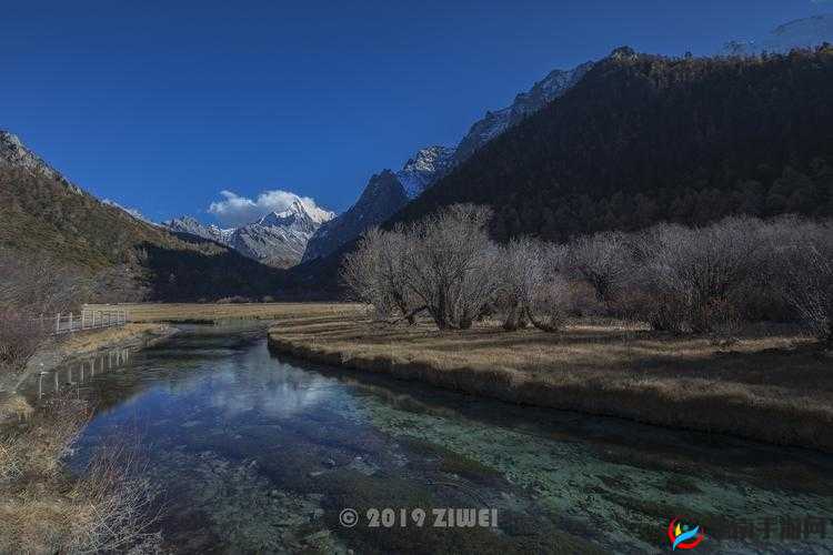 白喷丝泉网站：探寻自然之美与独特体验的绝佳平台