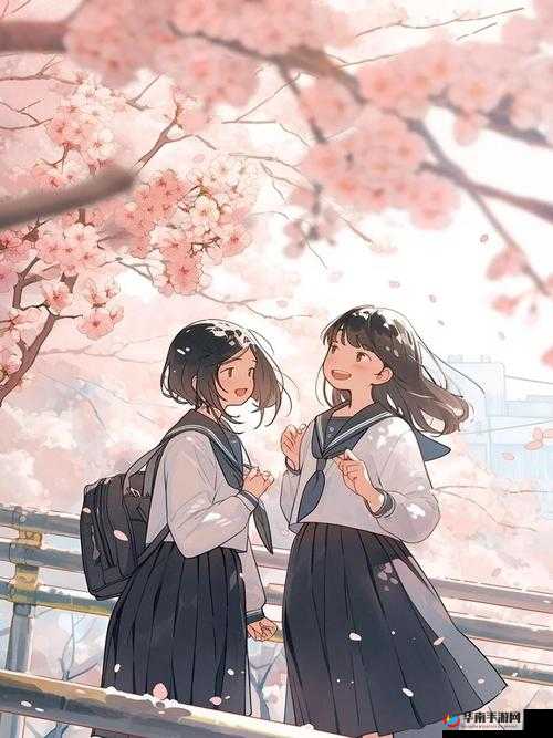 樱花动漫入口官网到底是哪个：探寻其真实所在之谜