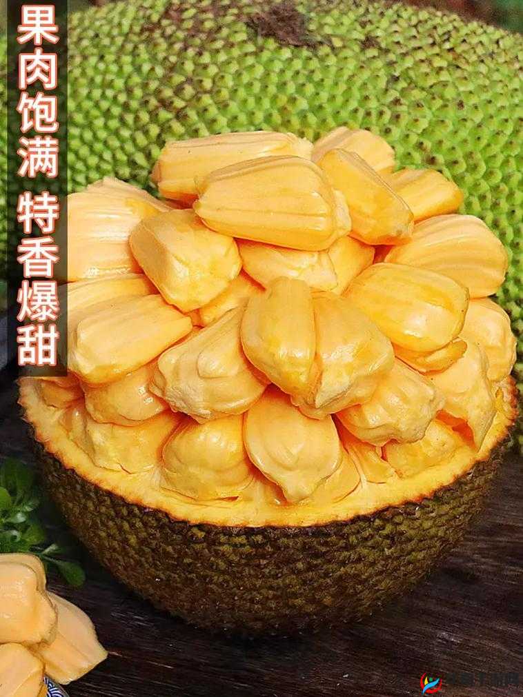 亚洲日产菠萝蜜：带你领略独特的水果魅力与丰富用途