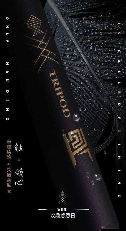 精品极品三大极久久久久：致力于打造独一无二的卓越品质