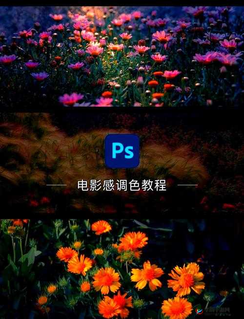 免费 PS 大片调色教程：打造专业级电影质感