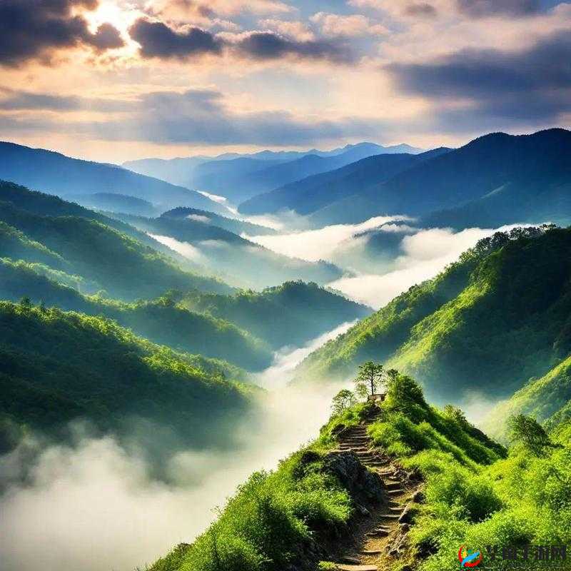 精品一二：探索极致品质背后的精彩奥秘之旅