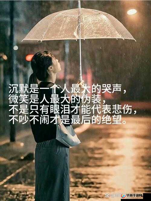 离异 D 奶的情感世界与生活经历探寻:一个人的精彩旅程