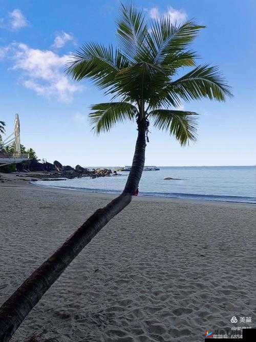 绿意盎然海角原创在哪里看：探寻其神秘的展现之处