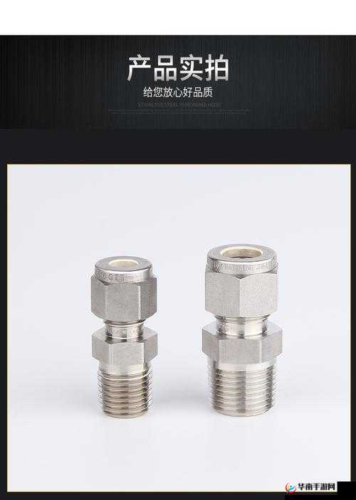 美国 SWAGELOK：引领行业发展的卓越品牌