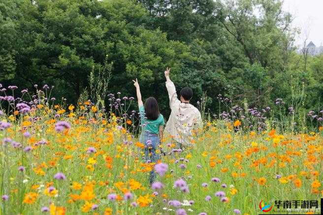17c 一起种草：开启美好时尚之旅