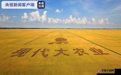 大地资源 10 在线观看免费高清：精彩内容等您来领略