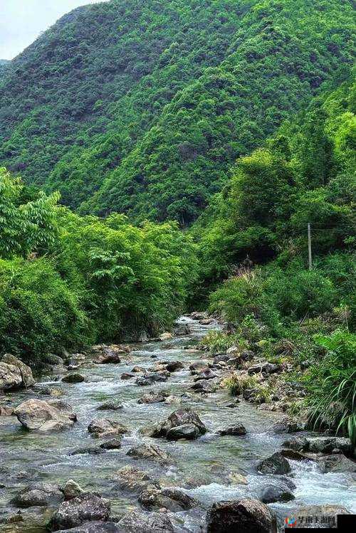 世外桃源，洞口溪流潺潺：探寻自然与宁静的奇妙交融