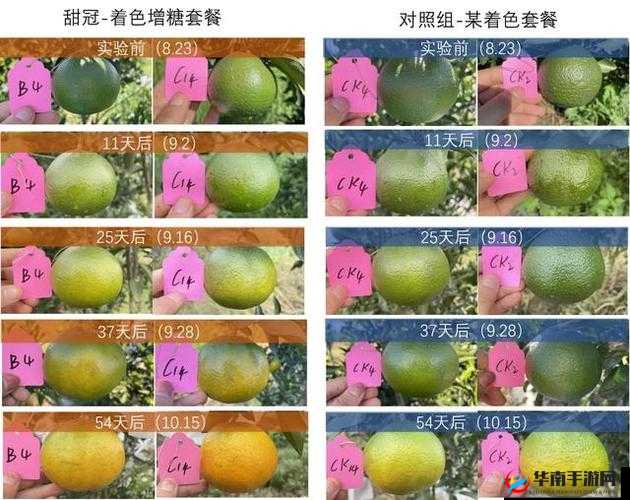 一产区与二产区产品区别推出高清版：呈现更清晰的品质差异